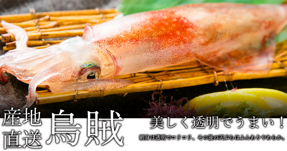 呼子直送 烏賊 美しく透明でうまい！ 刺身は透明でコリコリ、その後の天ぷらはふんわりやわらか。